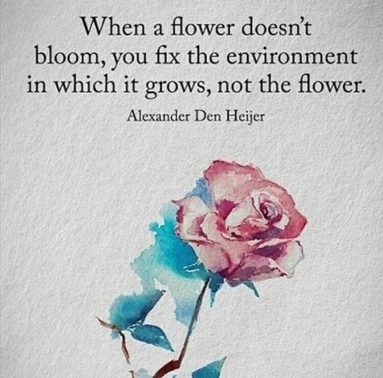 When a flower doesn't bloom, you fix the environment in which it grows, not the flower